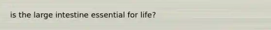 is the large intestine essential for life?