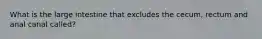 What is the large intestine that excludes the cecum, rectum and anal canal called?