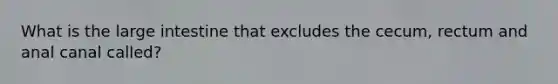 What is the large intestine that excludes the cecum, rectum and anal canal called?