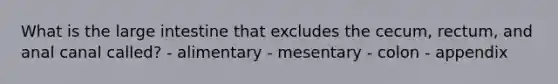 What is the large intestine that excludes the cecum, rectum, and anal canal called? - alimentary - mesentary - colon - appendix