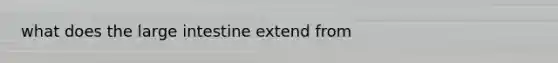 what does the large intestine extend from