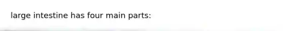 large intestine has four main parts: