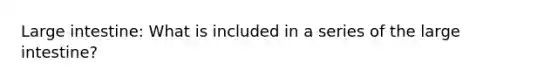 Large intestine: What is included in a series of the large intestine?