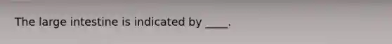 The large intestine is indicated by ____.