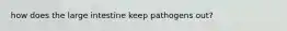 how does the large intestine keep pathogens out?