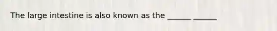 The <a href='https://www.questionai.com/knowledge/kGQjby07OK-large-intestine' class='anchor-knowledge'>large intestine</a> is also known as the ______ ______