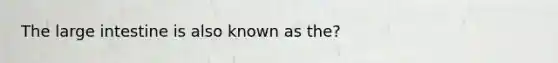 The large intestine is also known as the?