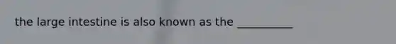 the large intestine is also known as the __________