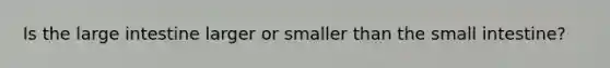 Is the large intestine larger or smaller than the small intestine?