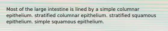 Most of the large intestine is lined by a simple columnar epithelium. stratified columnar epithelium. stratified squamous epithelium. simple squamous epithelium.