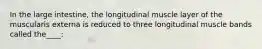 In the large intestine, the longitudinal muscle layer of the muscularis externa is reduced to three longitudinal muscle bands called the____: