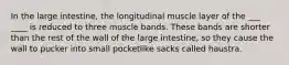 In the large intestine, the longitudinal muscle layer of the ___ ____ is reduced to three muscle bands. These bands are shorter than the rest of the wall of the large intestine, so they cause the wall to pucker into small pocketlike sacks called haustra.