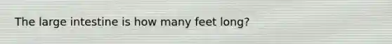 The large intestine is how many feet long?