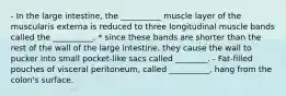 - In the large intestine, the __________ muscle layer of the muscularis externa is reduced to three longitudinal muscle bands called the __________. * since these bands are shorter than the rest of the wall of the large intestine, they cause the wall to pucker into small pocket-like sacs called ________. - Fat-filled pouches of visceral peritoneum, called __________, hang from the colon's surface.