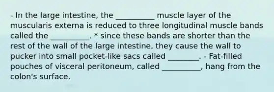 - In the <a href='https://www.questionai.com/knowledge/kGQjby07OK-large-intestine' class='anchor-knowledge'>large intestine</a>, the __________ muscle layer of the muscularis externa is reduced to three longitudinal muscle bands called the __________. * since these bands are shorter than the rest of the wall of the large intestine, they cause the wall to pucker into small pocket-like sacs called ________. - Fat-filled pouches of visceral peritoneum, called __________, hang from the colon's surface.