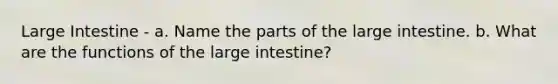 Large Intestine - a. Name the parts of the large intestine. b. What are the functions of the large intestine?