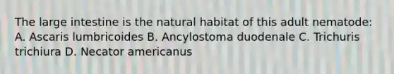 The <a href='https://www.questionai.com/knowledge/kGQjby07OK-large-intestine' class='anchor-knowledge'>large intestine</a> is the natural habitat of this adult nematode: A. Ascaris lumbricoides B. Ancylostoma duodenale C. Trichuris trichiura D. Necator americanus