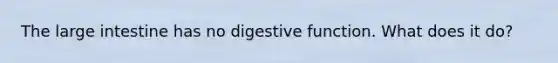 The large intestine has no digestive function. What does it do?