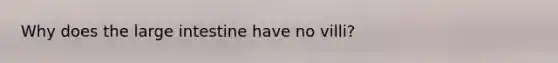 Why does the large intestine have no villi?
