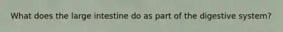 What does the <a href='https://www.questionai.com/knowledge/kGQjby07OK-large-intestine' class='anchor-knowledge'>large intestine</a> do as part of the digestive system?