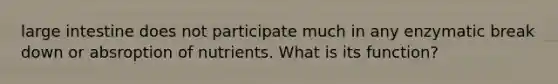 large intestine does not participate much in any enzymatic break down or absroption of nutrients. What is its function?