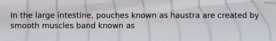 In the large intestine, pouches known as haustra are created by smooth muscles band known as