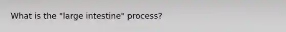 What is the "large intestine" process?