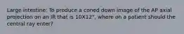 Large intestine: To produce a coned down image of the AP axial projection on an IR that is 10X12", where on a patient should the central ray enter?