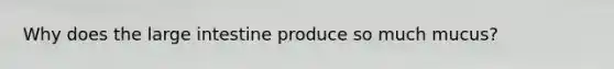 Why does the large intestine produce so much mucus?