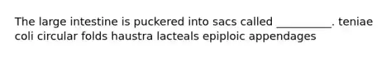 The large intestine is puckered into sacs called __________. teniae coli circular folds haustra lacteals epiploic appendages