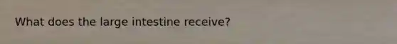 What does the large intestine receive?