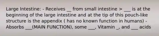 Large Intestine: - Receives __ from small intestine > ___ is at the beginning of the large intestine and at the tip of this pouch-like structure is the appendix ( has no known function in humans) - Absorbs ___(MAIN FUNCTION), some ___, Vitamin _, and ___ acids