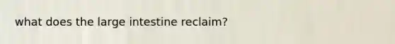 what does the large intestine reclaim?