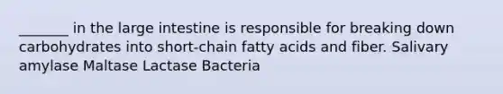 _______ in the large intestine is responsible for breaking down carbohydrates into short-chain fatty acids and fiber. Salivary amylase Maltase Lactase Bacteria