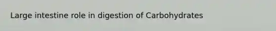 Large intestine role in digestion of Carbohydrates