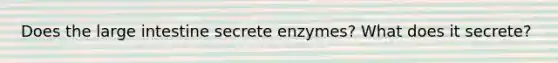 Does the large intestine secrete enzymes? What does it secrete?