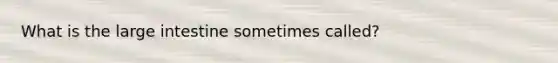 What is the large intestine sometimes called?