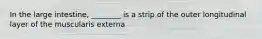 In the large intestine, ________ is a strip of the outer longitudinal layer of the muscularis externa