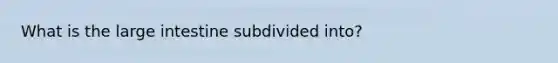 What is the large intestine subdivided into?