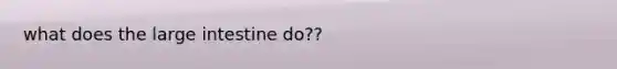 what does the large intestine do??