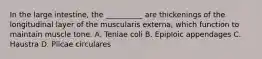 In the large intestine, the __________ are thickenings of the longitudinal layer of the muscularis externa, which function to maintain muscle tone. A. Teniae coli B. Epiploic appendages C. Haustra D. Plicae circulares