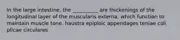 In the large intestine, the __________ are thickenings of the longitudinal layer of the muscularis externa, which function to maintain muscle tone. haustra epiploic appendages teniae coli plicae circulares