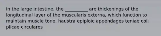 In the <a href='https://www.questionai.com/knowledge/kGQjby07OK-large-intestine' class='anchor-knowledge'>large intestine</a>, the __________ are thickenings of the longitudinal layer of the muscularis externa, which function to maintain muscle tone. haustra epiploic appendages teniae coli plicae circulares