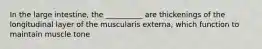 In the large intestine, the __________ are thickenings of the longitudinal layer of the muscularis externa, which function to maintain muscle tone