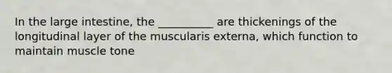 In the <a href='https://www.questionai.com/knowledge/kGQjby07OK-large-intestine' class='anchor-knowledge'>large intestine</a>, the __________ are thickenings of the longitudinal layer of the muscularis externa, which function to maintain muscle tone