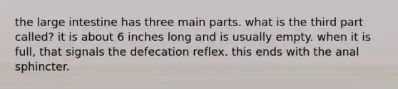 the large intestine has three main parts. what is the third part called? it is about 6 inches long and is usually empty. when it is full, that signals the defecation reflex. this ends with the anal sphincter.