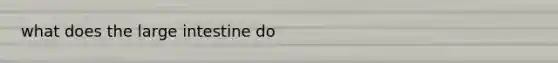 what does the large intestine do