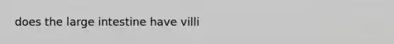 does the large intestine have villi