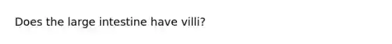 Does the large intestine have villi?