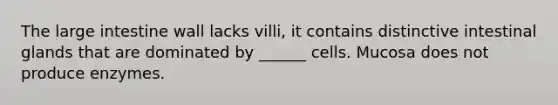 The <a href='https://www.questionai.com/knowledge/kGQjby07OK-large-intestine' class='anchor-knowledge'>large intestine</a> wall lacks villi, it contains distinctive intestinal glands that are dominated by ______ cells. Mucosa does not produce enzymes.